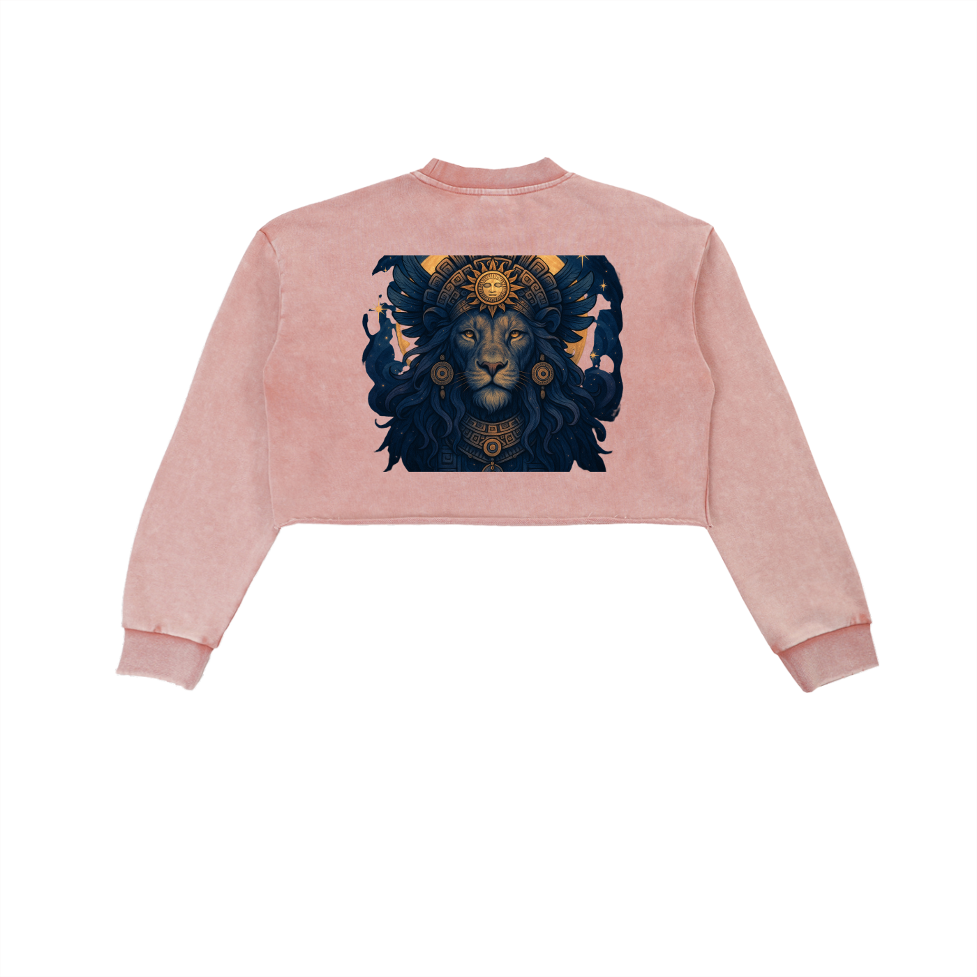 Lions Gate Snow Washed Raw Edge Cropped Sweatshirt